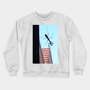 House hopping! Crewneck Sweatshirt